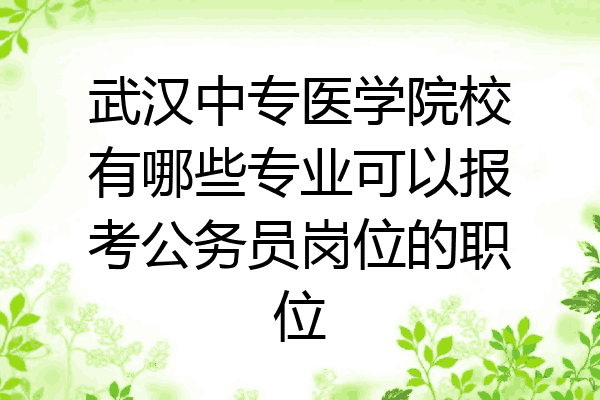 武汉中专医学院校有哪些专业可以报考公务员岗位的职位