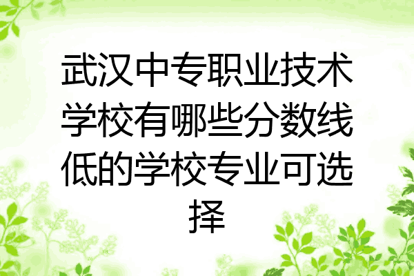 武汉中专职业技术学校有哪些分数线低的学校专业可选择
