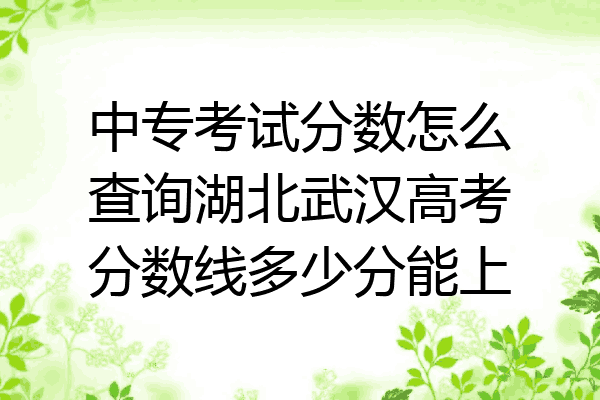 中专考试分数怎么查询湖北武汉高考分数线多少分能上