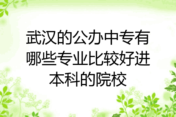武汉的公办中专有哪些专业比较好进本科的院校
