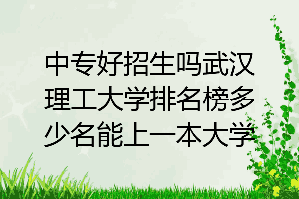 中专好招生吗武汉理工大学排名榜多少名能上一本大学