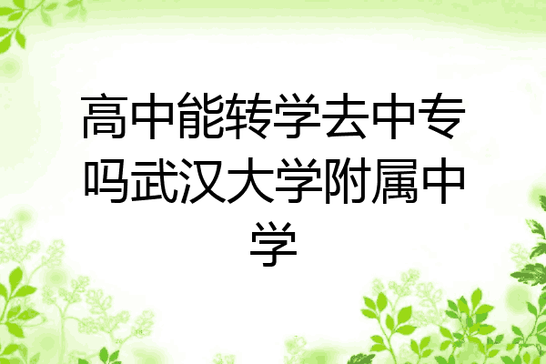 高中能转学去中专吗武汉大学附属中学