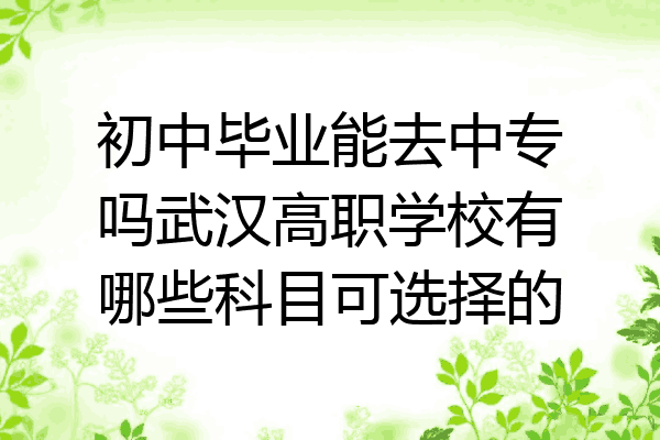 初中毕业能去中专吗武汉高职学校有哪些科目可选择的