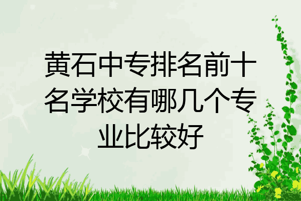 黄石中专排名前十名学校有哪几个专业比较好