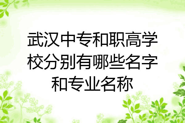 武汉中专和职高学校分别有哪些名字和专业名称