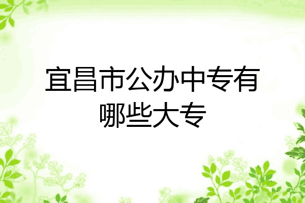 宜昌市公办中专有哪些大专