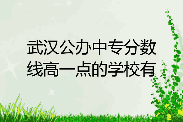 武汉公办中专分数线高一点的学校有