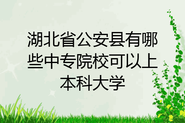湖北省公安县有哪些中专院校可以上本科大学