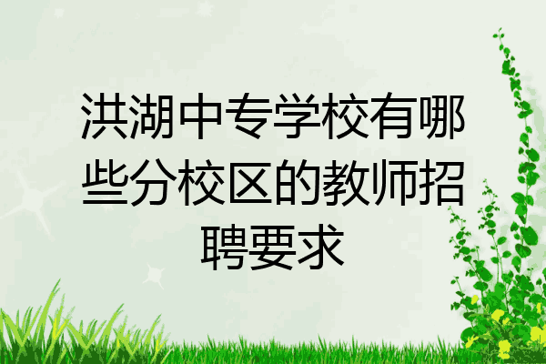 洪湖中专学校有哪些分校区的教师招聘要求
