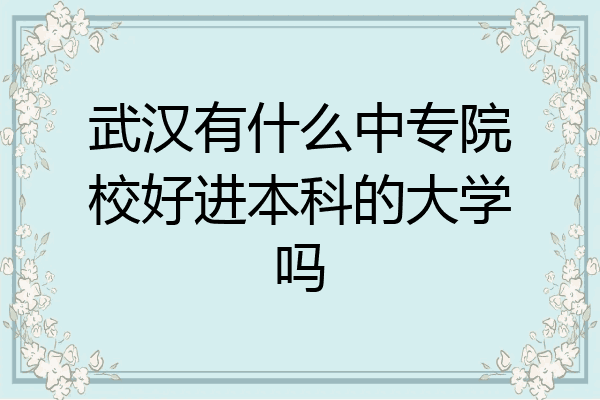 武汉有什么中专院校好进本科的大学吗