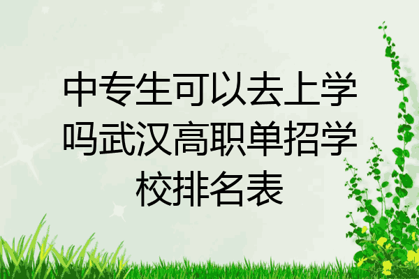 中专生可以去上学吗武汉高职单招学校排名表