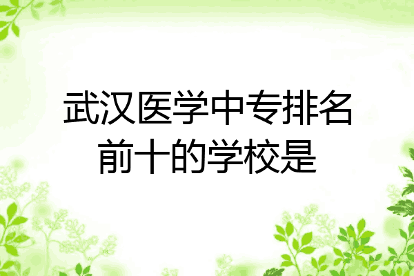 武汉医学中专排名前十的学校是