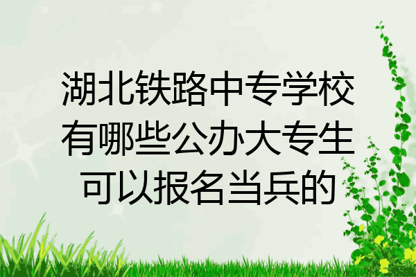 湖北铁路中专学校有哪些公办大专生可以报名当兵的