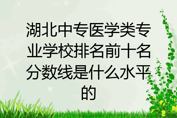 湖北中专医学类专业学校排名前十名分数线是什么水平的