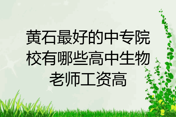 黄石最好的中专院校有哪些高中生物老师工资高