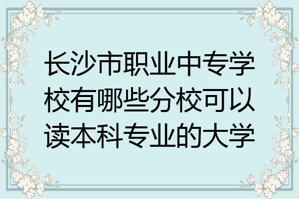 长沙市职业中专学校有哪些分校可以读本科专业的大学