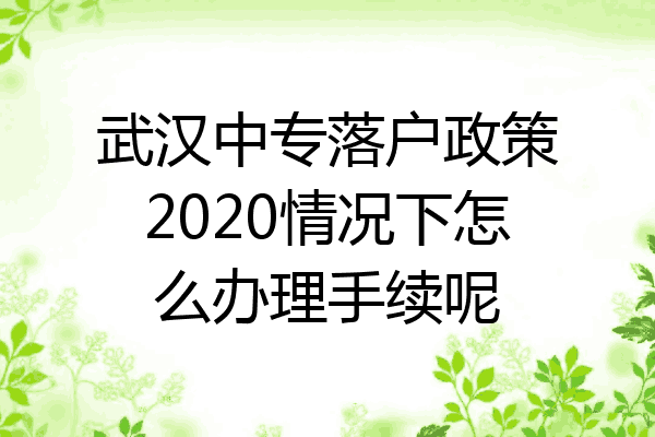武汉中专落户政策2020情况下怎么办理手续呢