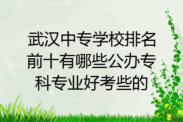 武汉中专学校排名前十有哪些公办专科专业好考些的