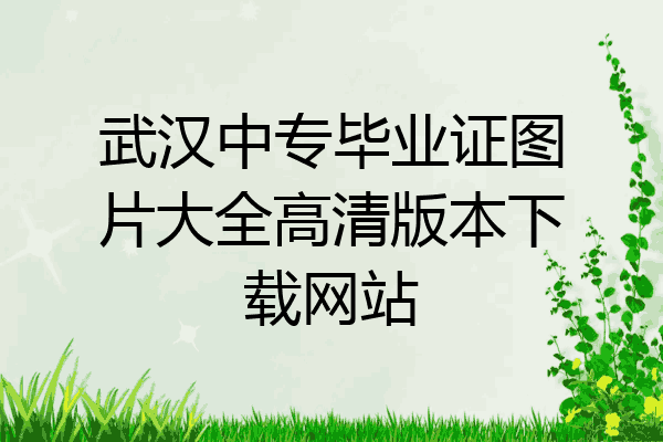 武汉中专毕业证图片大全高清版本下载网站