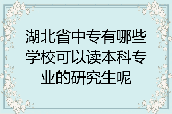 湖北省中专有哪些学校可以读本科专业的研究生呢
