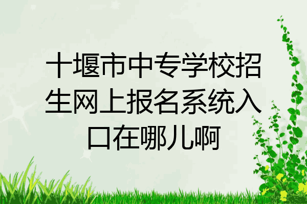 十堰市中专学校招生网上报名系统入口在哪儿啊