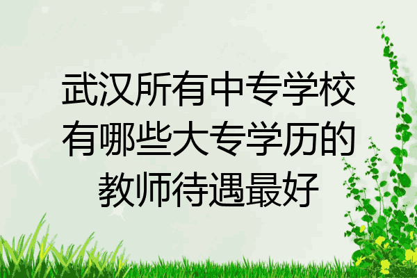 武汉所有中专学校有哪些大专学历的教师待遇最好