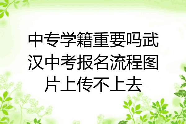 中专学籍重要吗武汉中考报名流程图片上传不上去