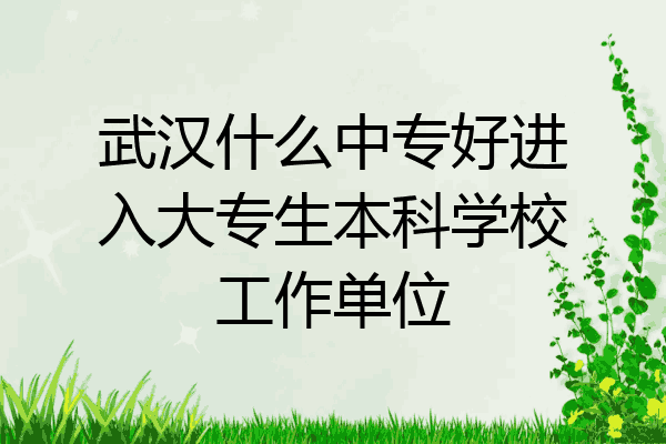 武汉什么中专好进入大专生本科学校工作单位