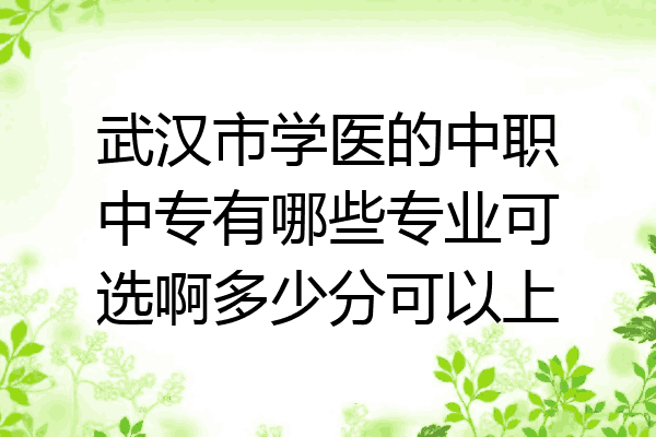 武汉市学医的中职中专有哪些专业可选啊多少分可以上