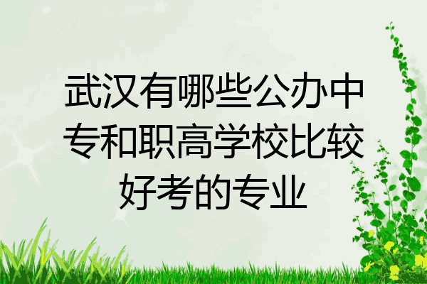 武汉有哪些公办中专和职高学校比较好考的专业
