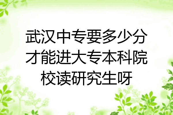 武汉中专要多少分才能进大专本科院校读研究生呀