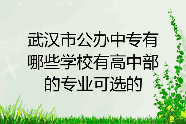 武汉市公办中专有哪些学校有高中部的专业可选的