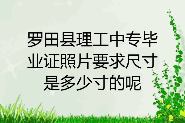 罗田县理工中专毕业证照片要求尺寸是多少寸的呢