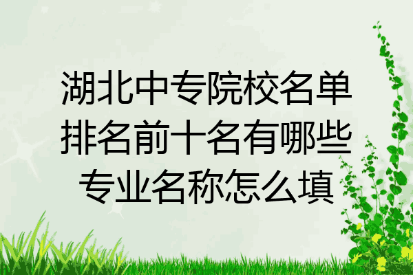 湖北中专院校名单排名前十名有哪些专业名称怎么填
