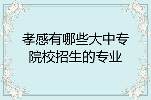孝感有哪些大中专院校招生的专业
