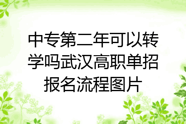 中专第二年可以转学吗武汉高职单招报名流程图片