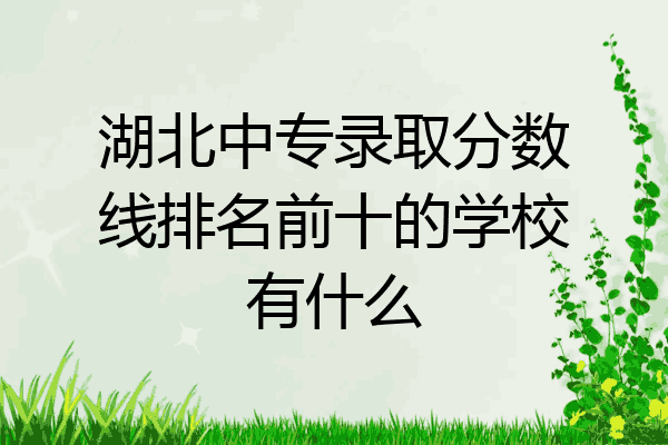 湖北中专录取分数线排名前十的学校有什么