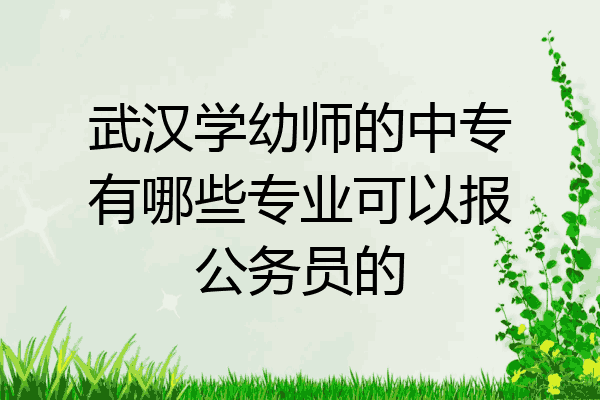 武汉学幼师的中专有哪些专业可以报公务员的