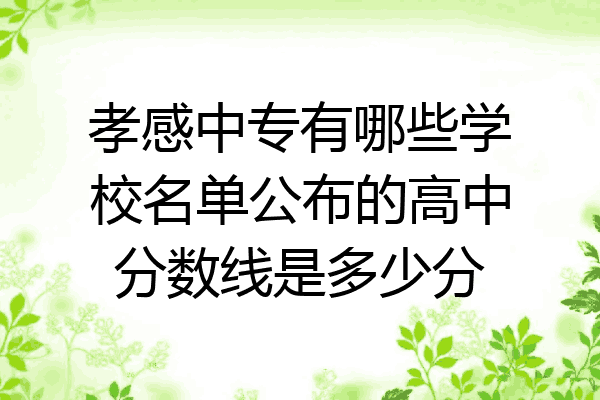孝感中专有哪些学校名单公布的高中分数线是多少分