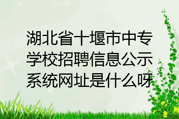 湖北省十堰市中专学校招聘信息公示系统网址是什么呀