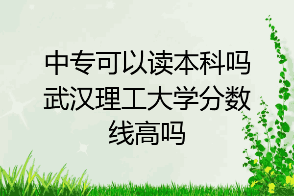 中专可以读本科吗武汉理工大学分数线高吗