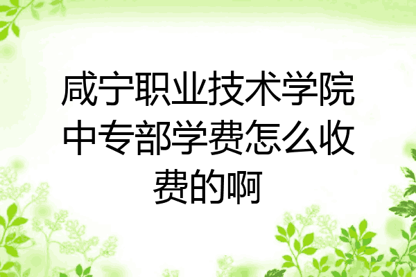 咸宁职业技术学院中专部学费怎么收费的啊