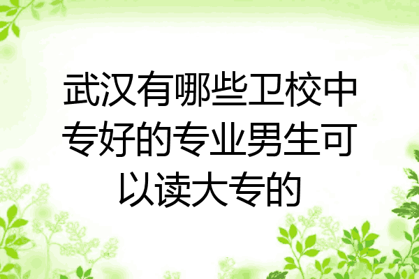 武汉有哪些卫校中专好的专业男生可以读大专的