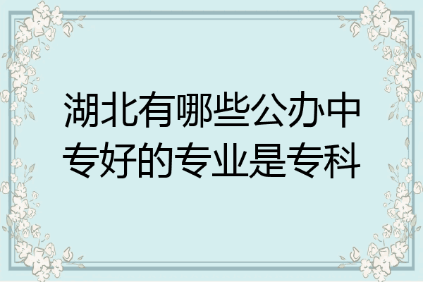 湖北有哪些公办中专好的专业是专科