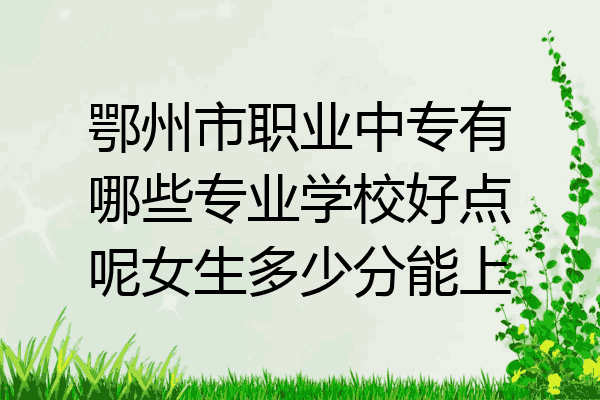 鄂州市职业中专有哪些专业学校好点呢女生多少分能上