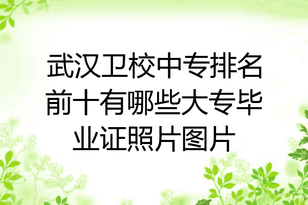 武汉卫校中专排名前十有哪些大专毕业证照片图片