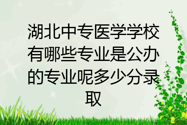 湖北中专医学学校有哪些专业是公办的专业呢多少分录取
