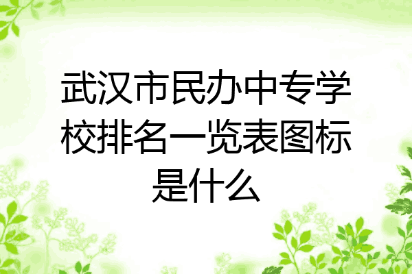 武汉市民办中专学校排名一览表图标是什么
