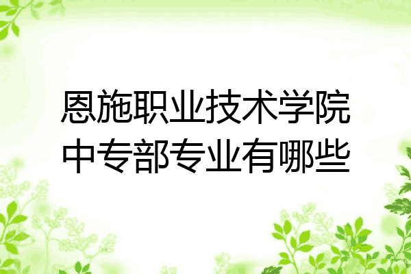 恩施职业技术学院中专部专业有哪些