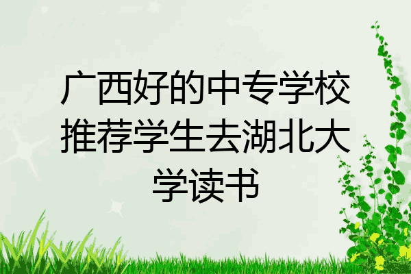 广西好的中专学校推荐学生去湖北大学读书